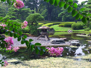 traditional japanese garden - japan