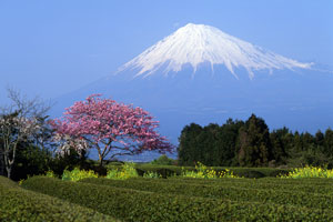 snow-covered Mount Fuji, Honshu Island, Japan