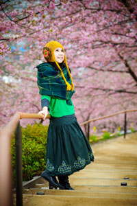 young Japanese woman enjoying the pink cherry blossoms